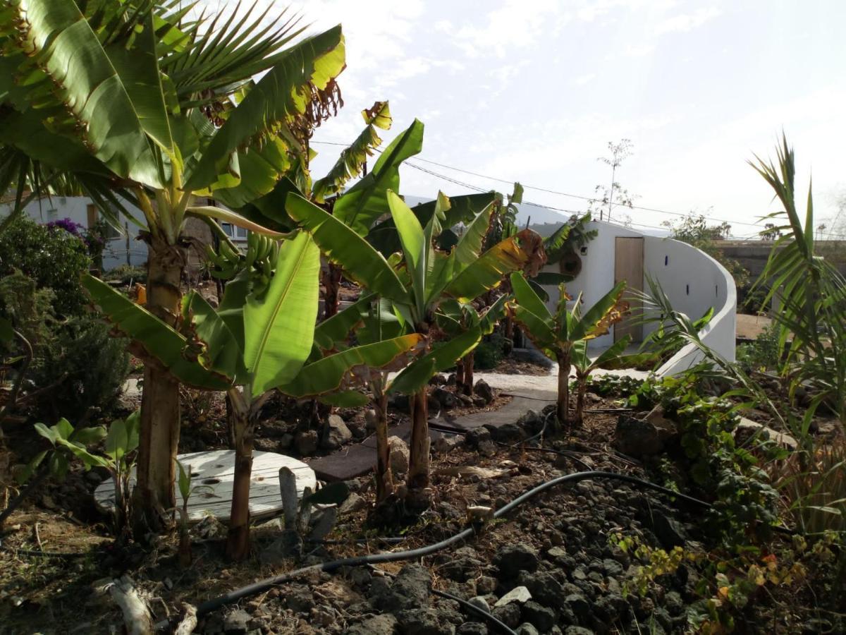 Eco Camping Nueva Vida Guest House Chio  Exterior photo