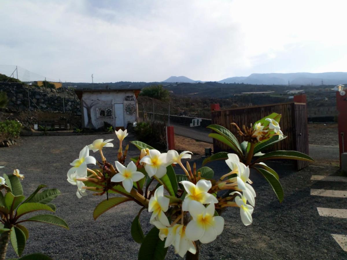 Eco Camping Nueva Vida Guest House Chio  Exterior photo